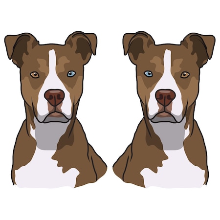 Signmission Pitsky Dog Decal, Dog Lover Decor Vinyl Sticker D-18-Pitsky